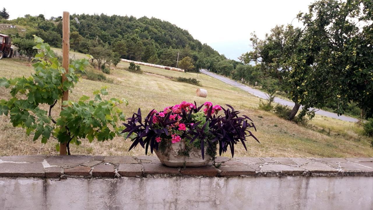 Agriturismo Persichitti Torricella Peligna Exterior foto